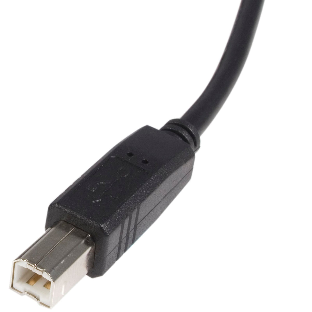 StarTech 1 ft USB 2.0 A to B Cable - M/M (USB2HAB1) product image