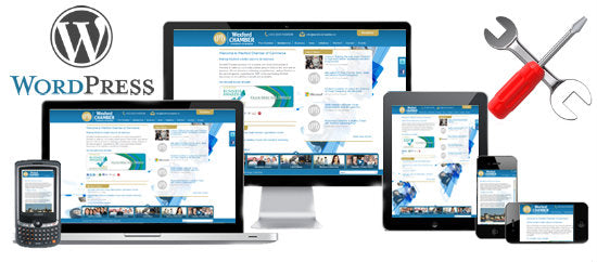 wordpress technical support