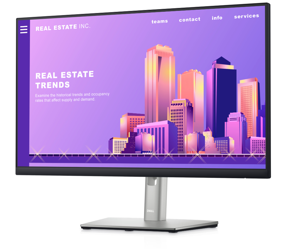 Dell 24 Monitor - P2422H 210-BBDC (3 Years Manufacture Local Warranty In Singapore) -EOL