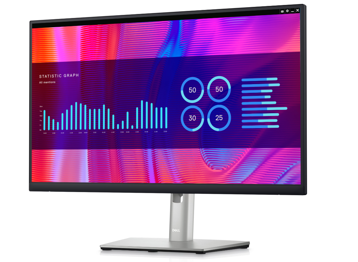 Dell 24 Monitor - P2423DE 210-BDKP ( 3 Year Warranty In Singapore )
