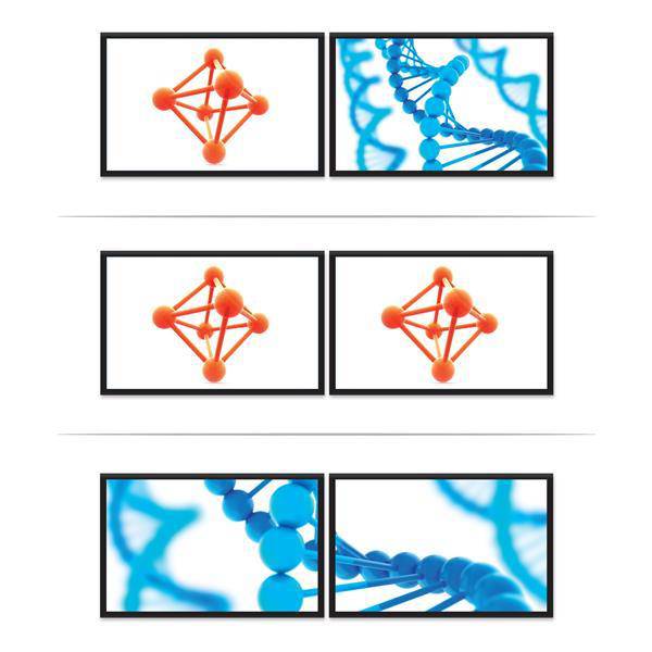 StarTech 2-Port Multi Monitor Adapter - USB-C to 2x DisplayPort 1.2 Video Splitter - USB Type-C to DP MST Hub - Dual 4K 30Hz or 1080p 60Hz - Thunderbolt 3 Compatible - Windows Only MSTCDP122DP (3 years Local Warranty in Singapore) - Buy Singapore