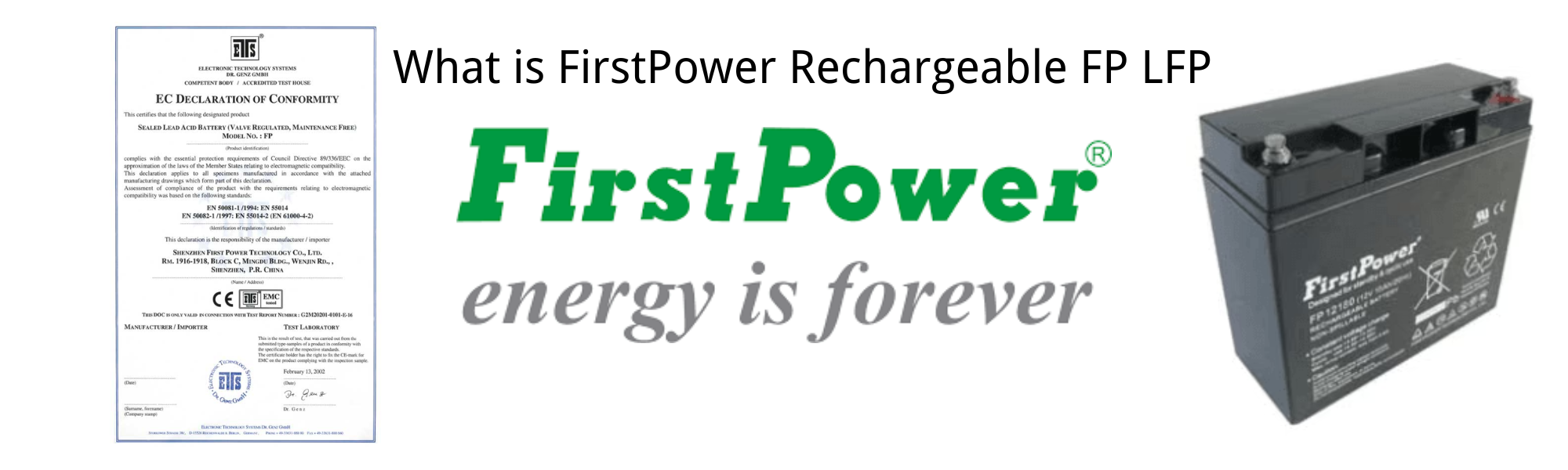 FirstPower Rechargeable FP LFP Sealed Lead Acid Battery