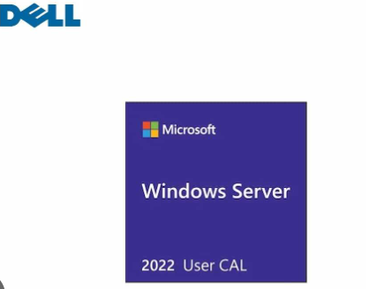 Dell Microsoft Windows Server 2019/2022 Standard or Datacenter - License - 5 User CAL (634-BYKS)