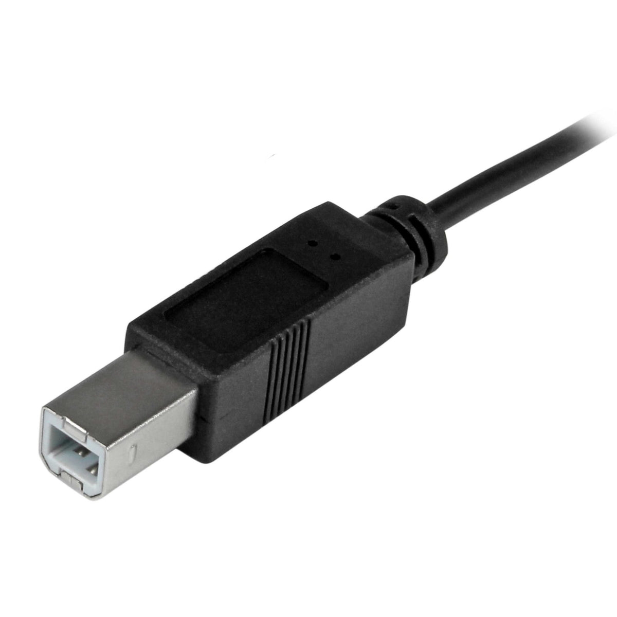 StarTech 3ft (1m) USB-B to USB-C Cable, Data Cord, USB 2.0, USB-C Data Transfer Cable (USB2CB1M) product image