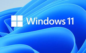 Microsoft Windows 11 Pro 64-bit All Lang Online Download ESD FQC-10572 (Pre-Order Lead Time 1-2 Weeks)