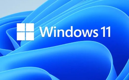 Microsoft Windows 11 Pro 64-bit All Lang Online Download ESD FQC-10572 - Win-Pro Consultancy Pte Ltd