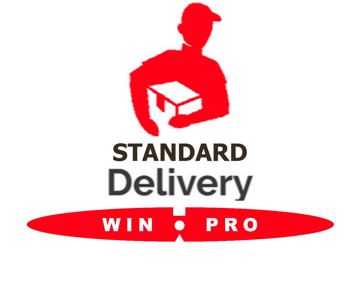 Win-Pro Delivery Service Top-up Standard Shipping (within 5 working days) - Buy Singapore